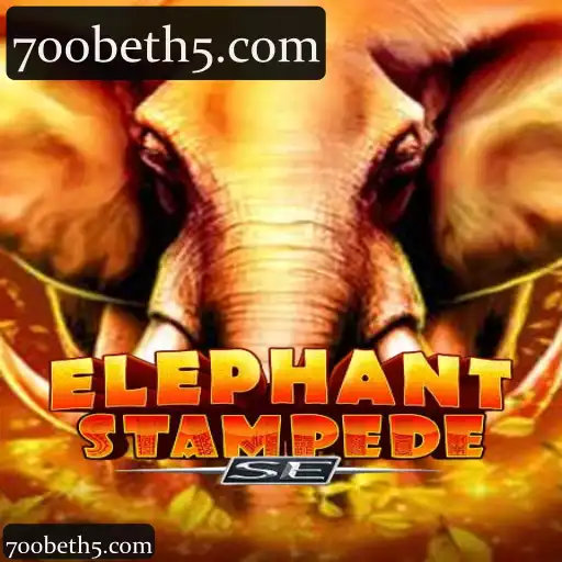 ElephantStampedeSE